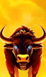 Big Wild Buffalo 2